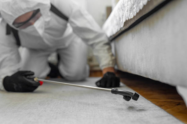 Professional Cockroach Control technician working in Robbins, IL