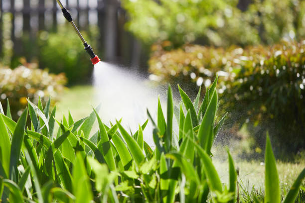 24/7 Emergency Cockroach Control experts in Robbins, IL