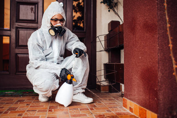 Reliable Cockroach Control contractor in Robbins, IL by Nex Pest Control