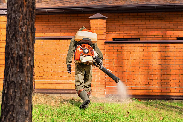Top rated local Cockroach Control specialists in Robbins, IL
